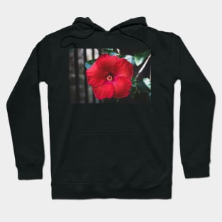 Hibiscus 3 Hoodie